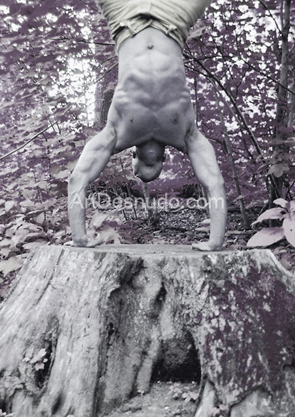 Art-Desnudo. Get your photos free.