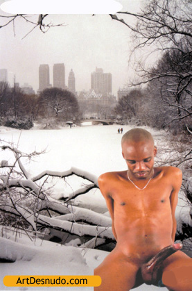 ArtDesnudo.com  Nude images of the male body. Making Art with your body! Get your photos free.
