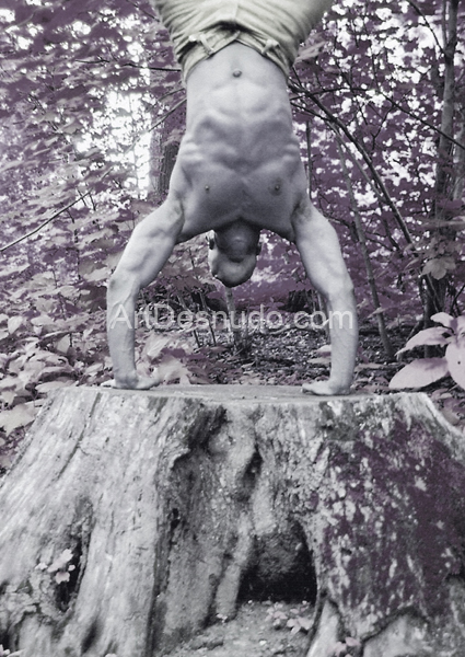 ArtDesnudo.com-Stl