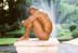 ArtDesnudo.com-St7