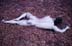 ArtDesnudo.com-4Alfk72