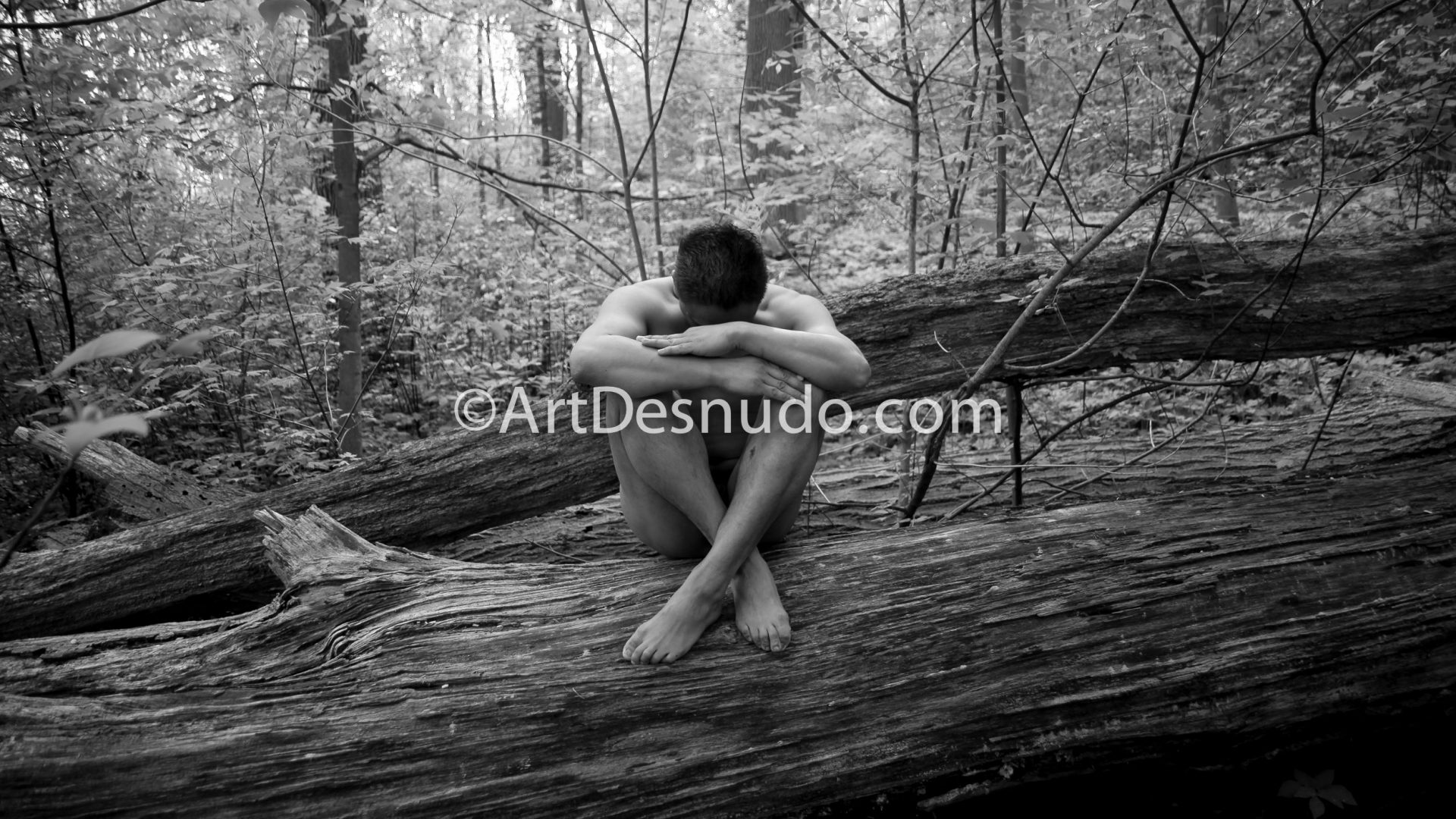 I created these nude photographs with a Latino model in 2011. Do you love Mother Nature? Do you love trees? Let’s create nude photographs with trees in New York City. Send me a message. ArtDesnudo.com Creé estas fotografías de desnudos con un modelo Latino en el 2011. ¿Amas a la Madre Naturaleza? ¿Amas los árboles? Vamos a crear fotografías de desnudos con árboles en la ciudad de Nueva York. Envíame un mensaje. ArtDesnudo.com