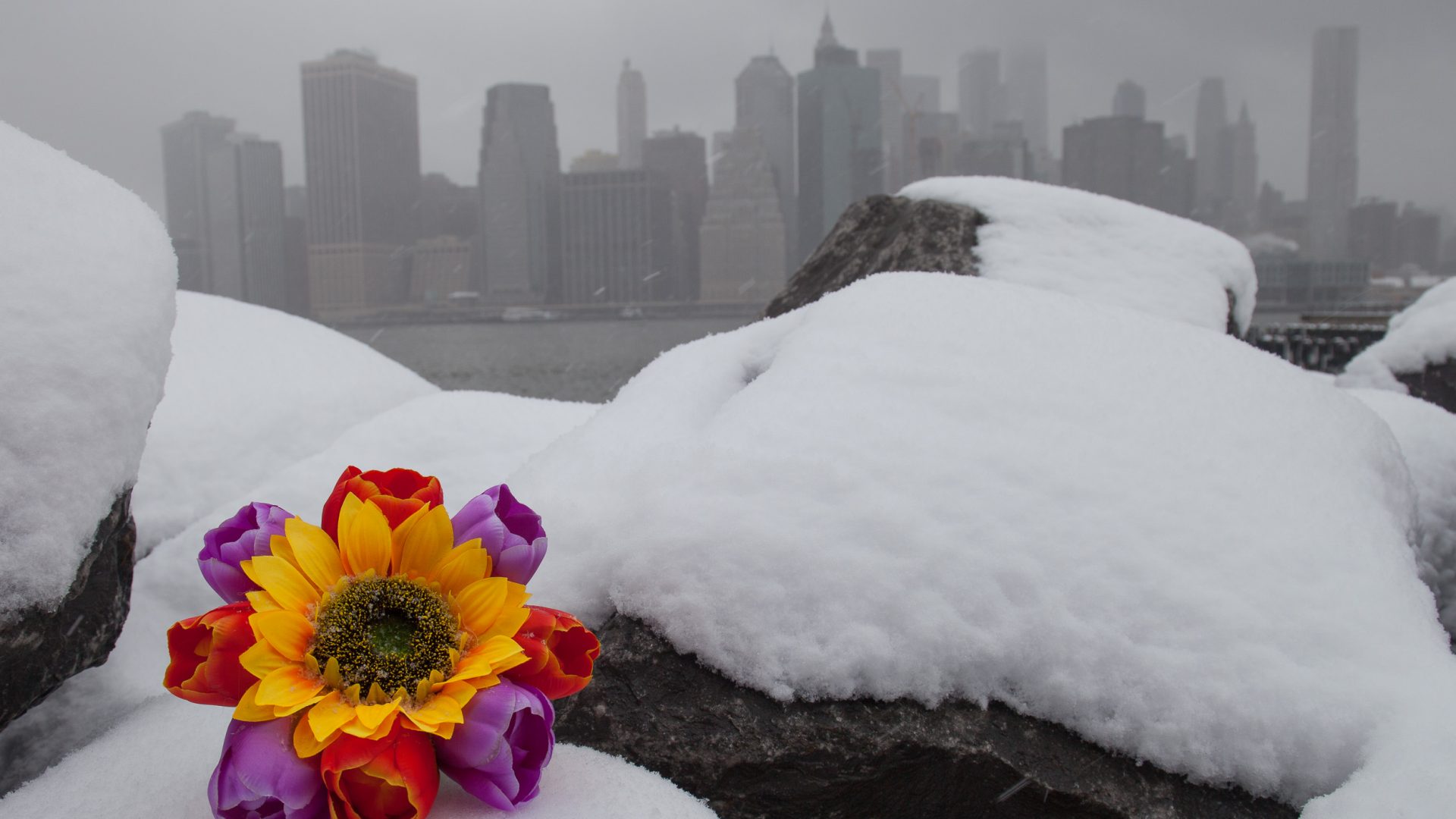 3/21/2018. Winter Storm Toby in New York City.