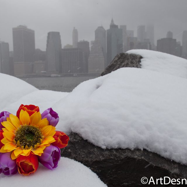 3/21/2018. Winter Storm Toby in New York City.