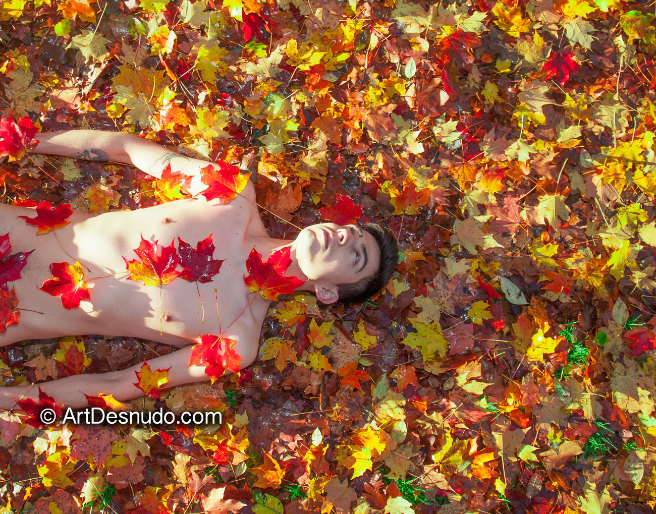 I love Autumn colors. Let’s Create Art with your Body and Mother Nature! Model: Ivan.